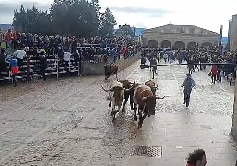 Se abre la cabeza tras caerse de las agujas en el último encierro del Carnaval