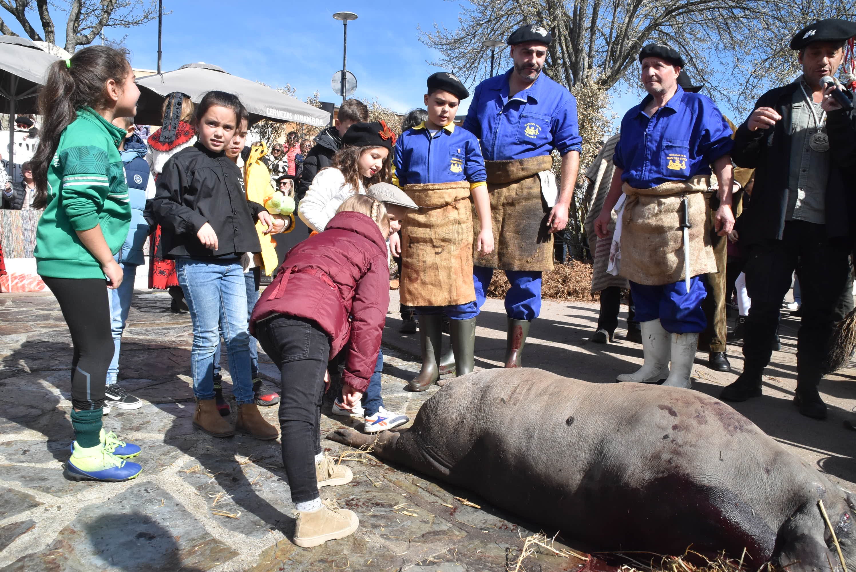 La matanza de Guijuelo rinde homenaje al sabor con numerosas caras conocidas