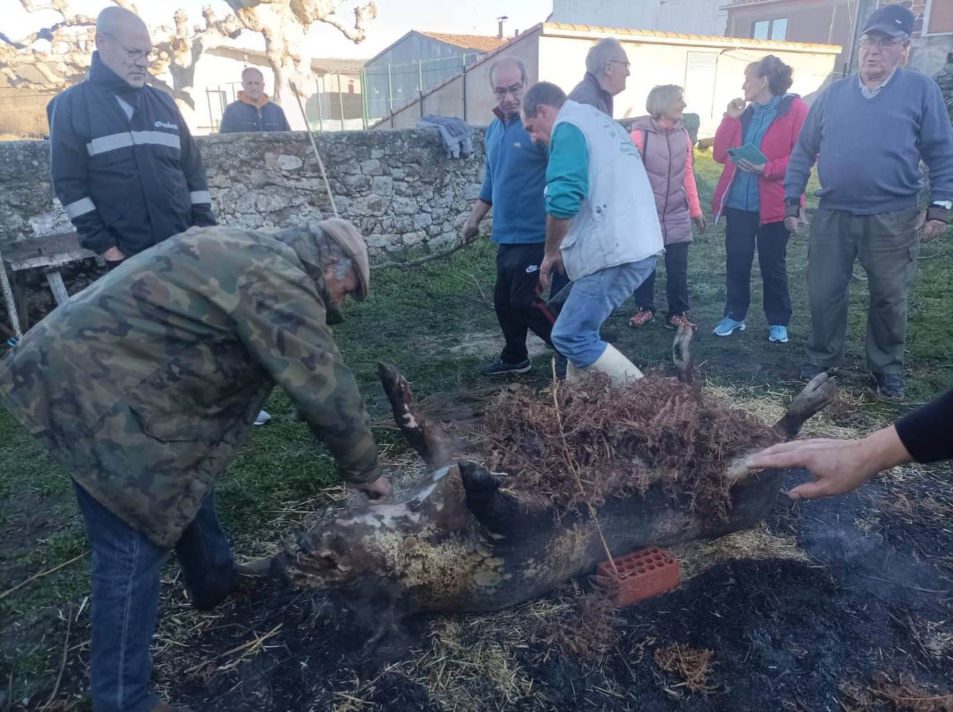 Los vecinos de Horcajo de Montemayor disfrutan de la matanza popular en una animada jornada