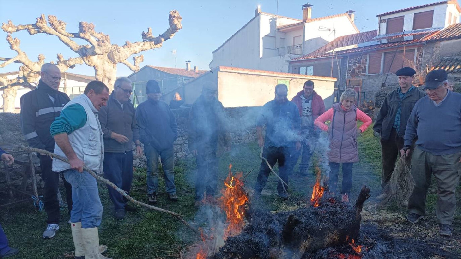 Los vecinos de Horcajo de Montemayor disfrutan de la matanza popular en ...