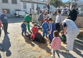 Los niños conocieron en vivo cómo se desarrolla una matanza desde el chamuscado del animal