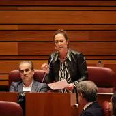 Rosa Rubio, durante una intervención en el Pleno.