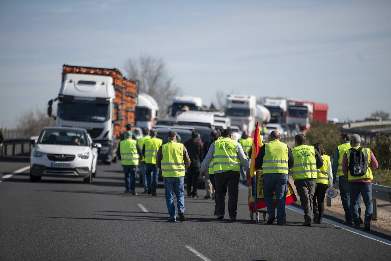 Las protestas del campo en Madrid, en imágenes