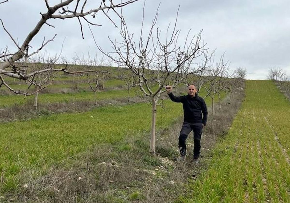 La curiosa historia del profesor salmantino apasionado por los pistachos