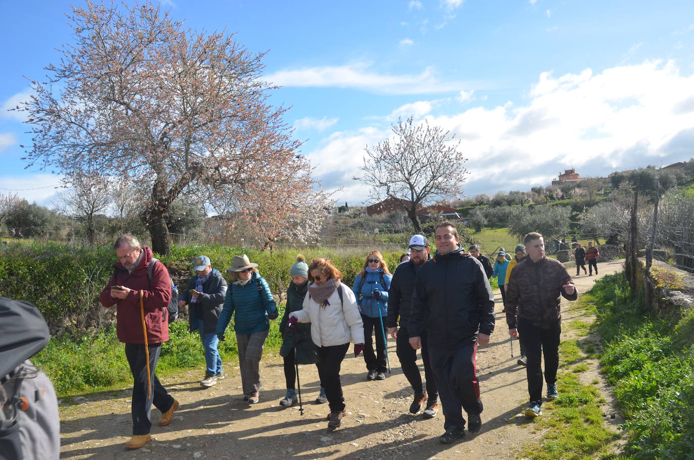 Más de 200 senderistas salen al encuentro de los almendros en flor desde La Fregeneda