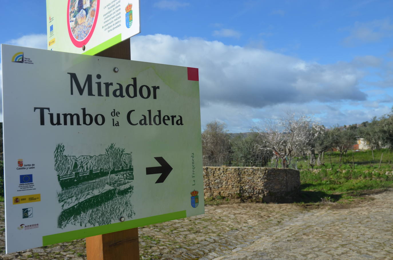 Más de 200 senderistas salen al encuentro de los almendros en flor desde La Fregeneda