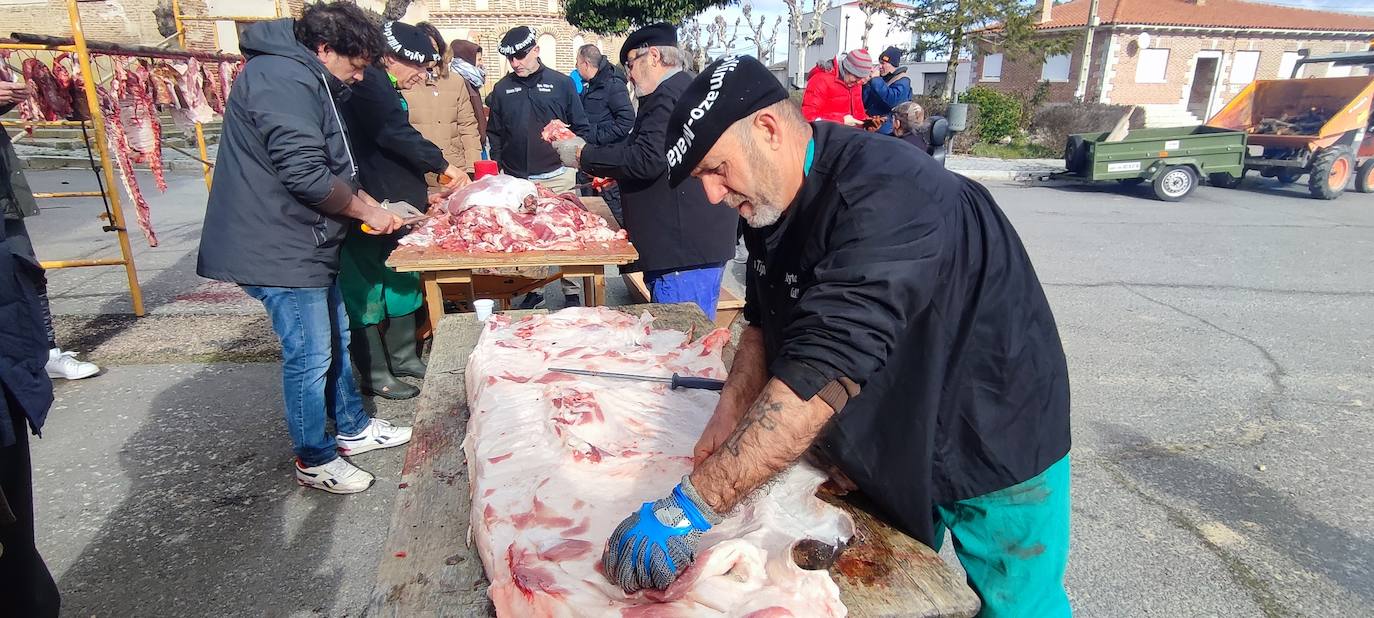 Más de 200 vecinos participan en la XII matanza de Villar de Gallimazo