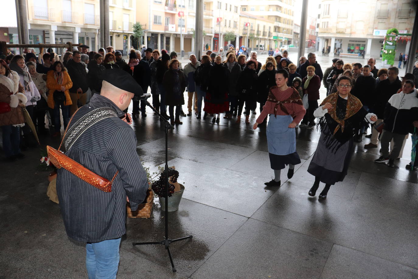 &quot;Cochino matado, invierno solucionado&quot;, Guijuelo despide su matanza típica 2024