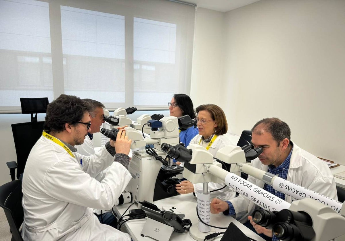 Equipo de investigadores del Hospital de Salamanca e IBSAL que firman el estudio.