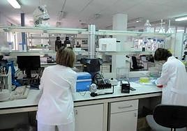 Investigadoras trabajan en su laboratorio.