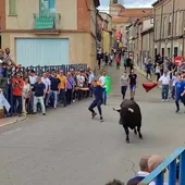 Festejo del I Toro de la Misericordia en Cantalapiedra.