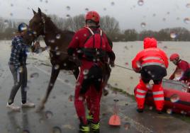 El dramático rescate de un caballo atrapado en un río desbordado en Álava