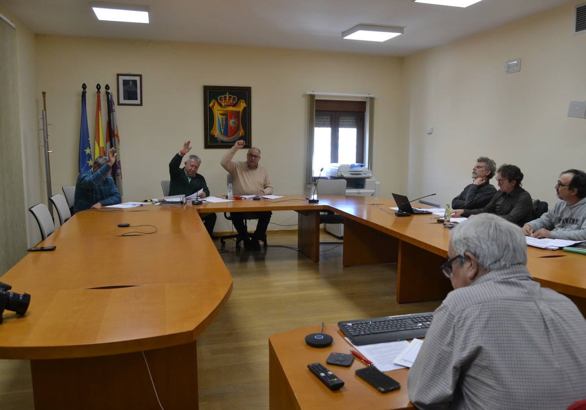 Momento de una votación durante el pleno en Villarino de los aires.