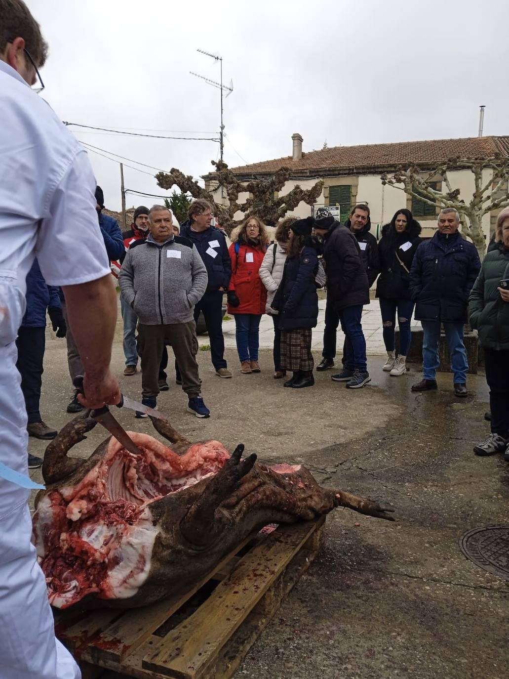 Gallegos de Solmirón disfruta de una animada jornada matancera