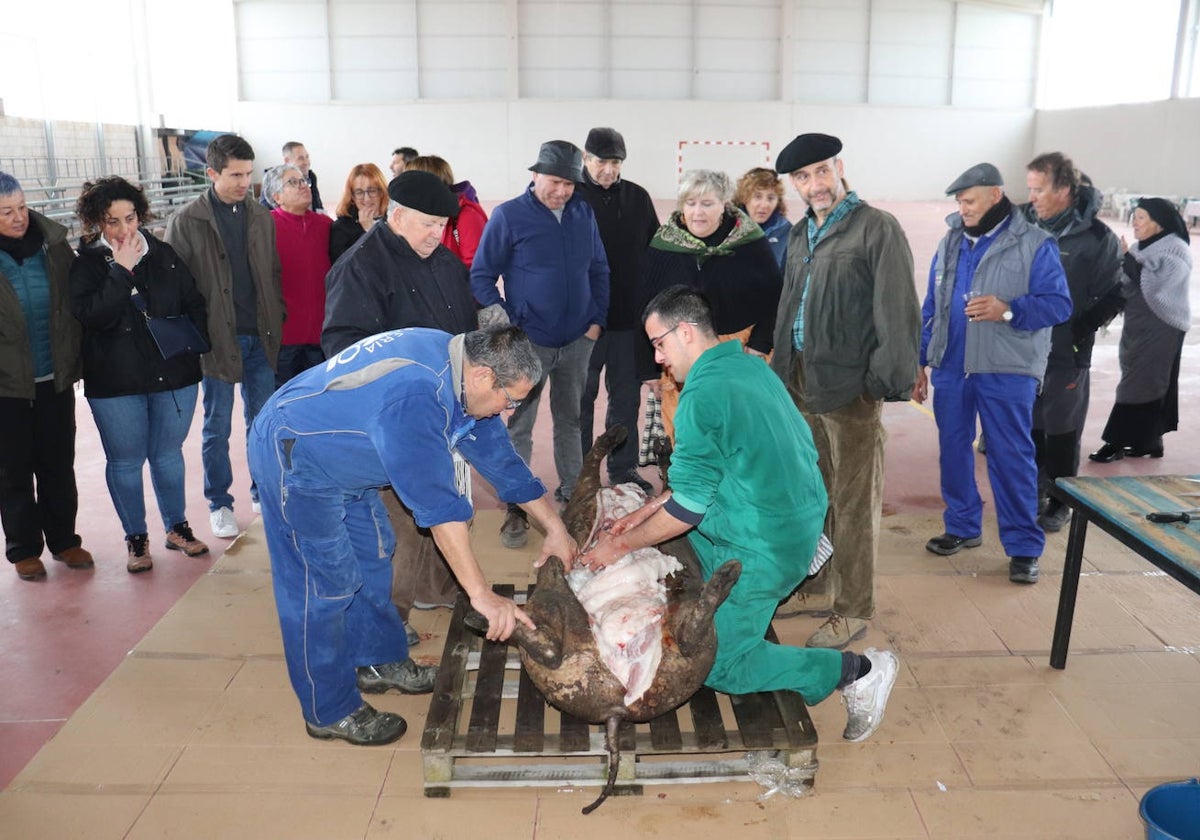 Los Santos mantiene vivas las tradiciones matanceras pese a la lluvia