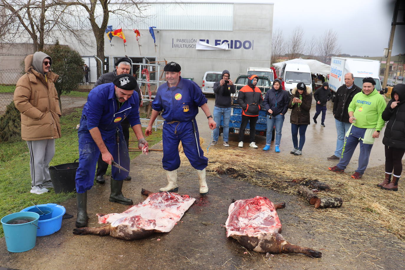 Berrocal de Salvatierra disfruta de su matanza contra viento y marea