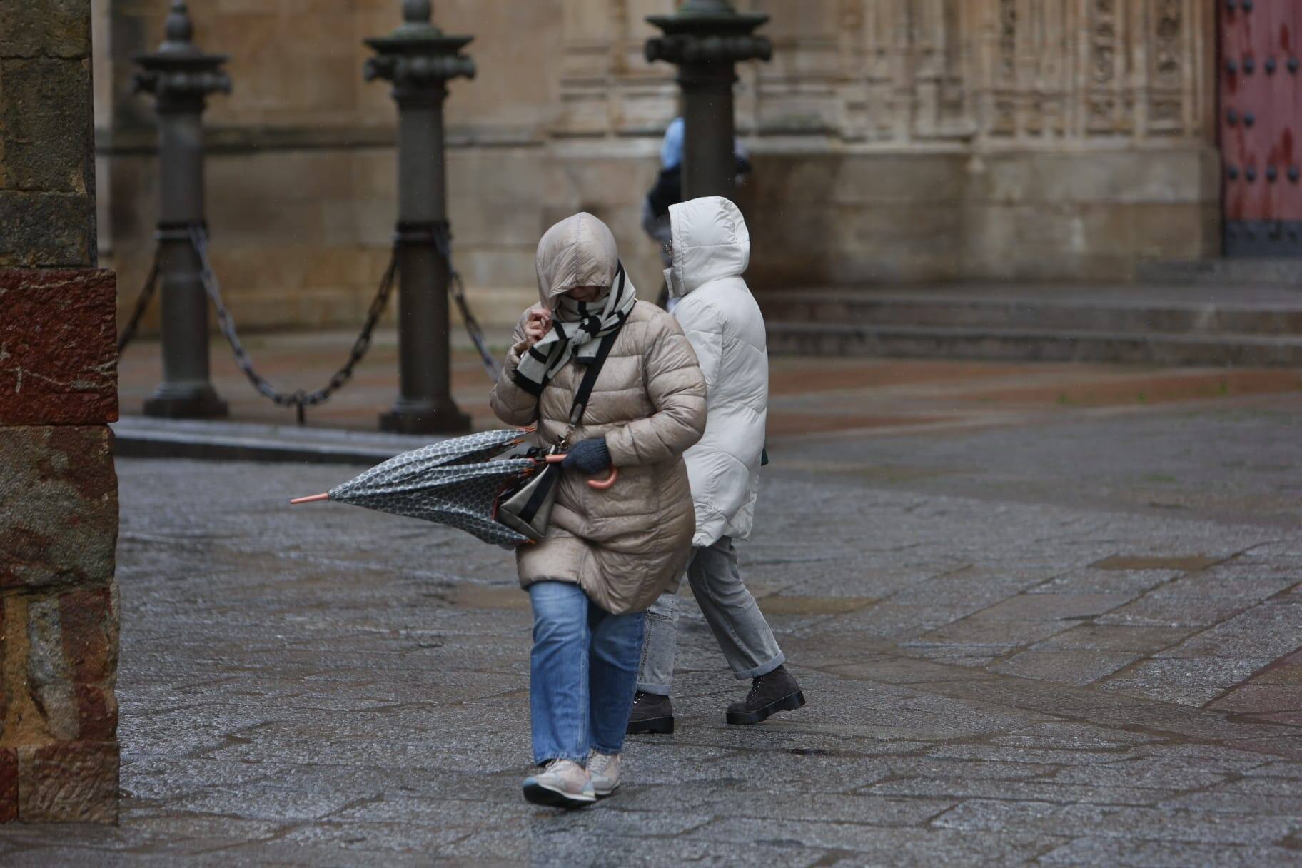 Llega la nieve a una Salamanca en alerta por fuertes vientos