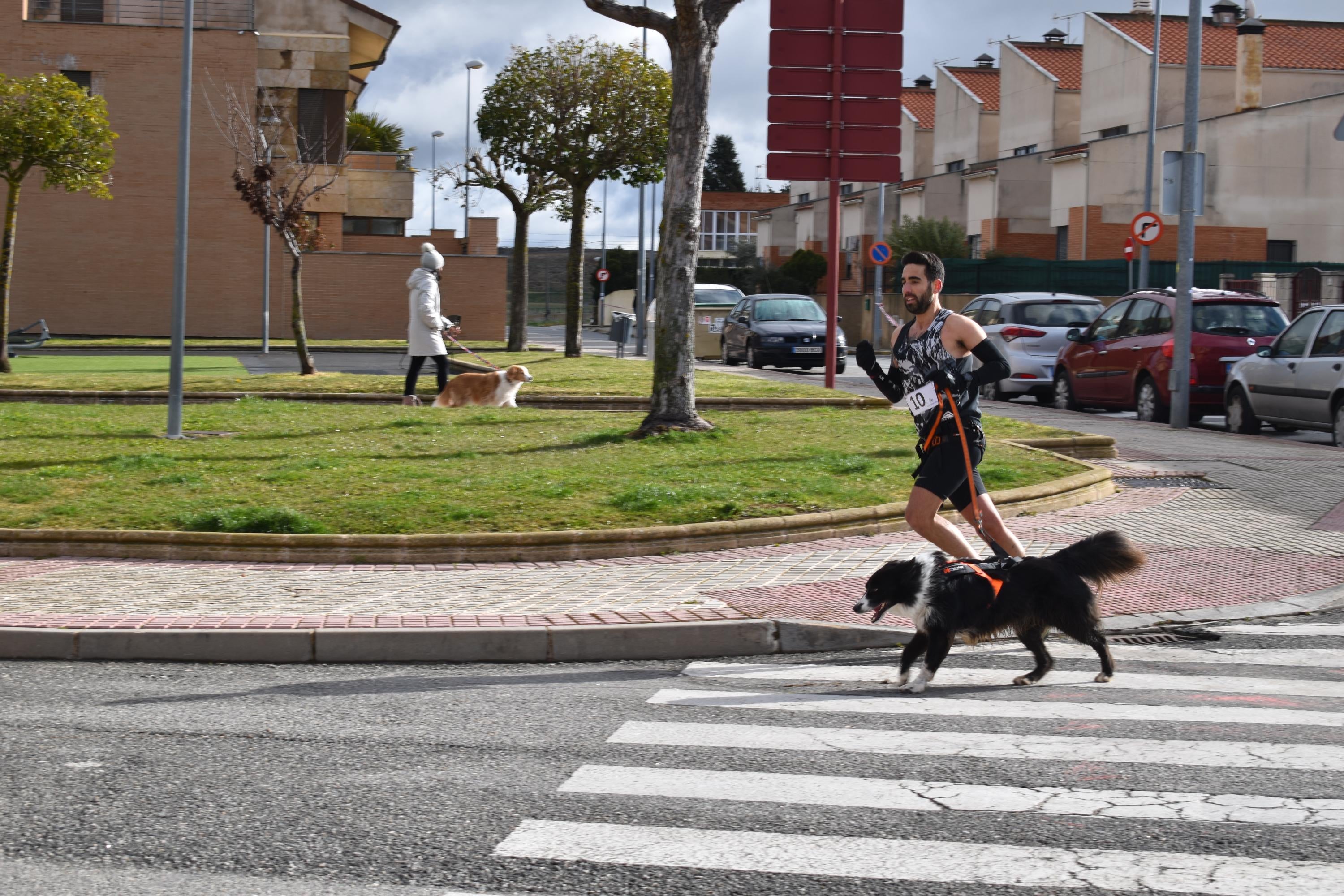 Álvaro Calle y Hulla ganan la IV Canicross de Villamayor