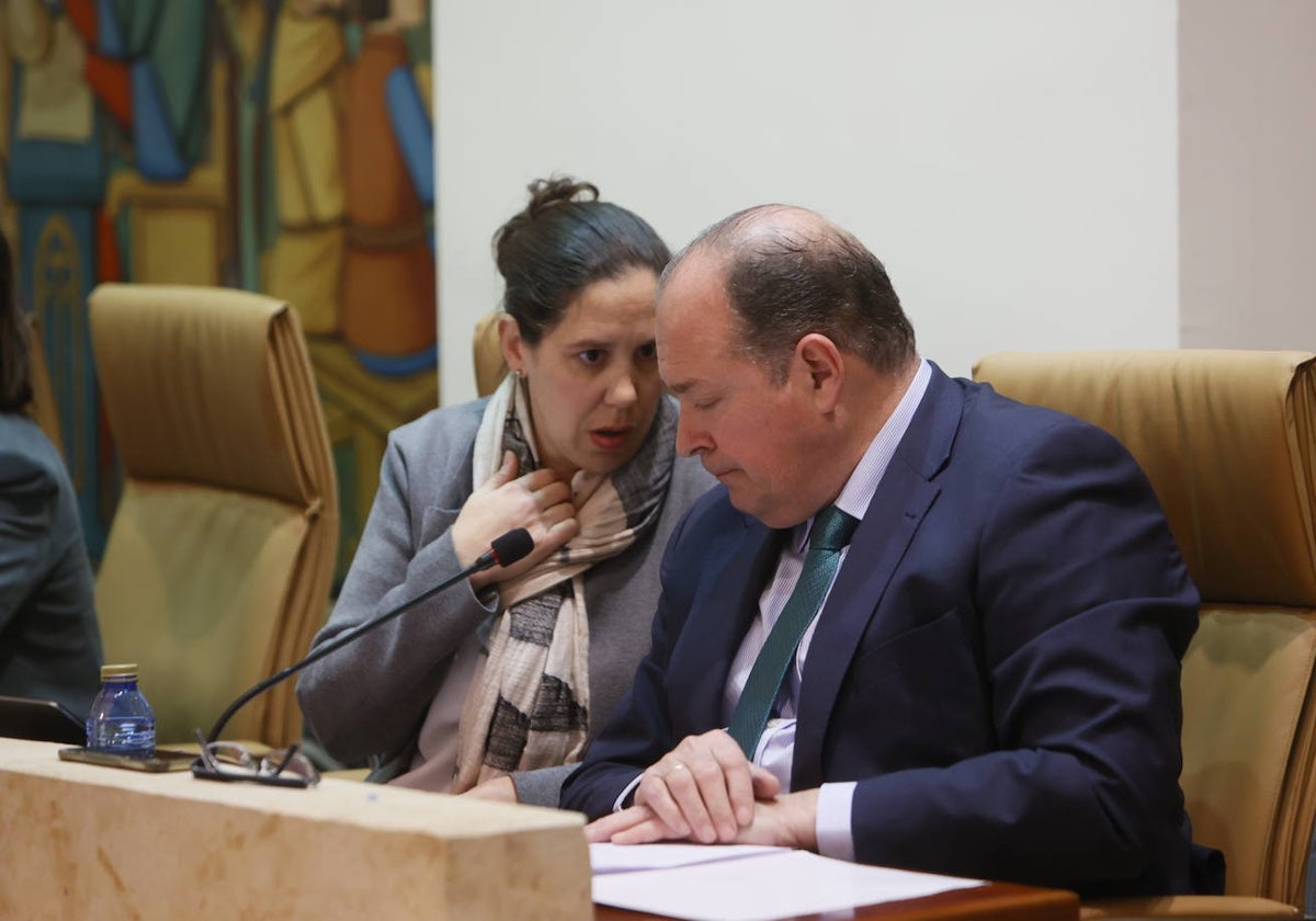 Los concejales de Vox Laura Magdalena e Ignacio Rivas, en el pleno de este viernes.