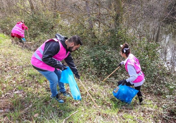 Voluntarios limpian las riberas del Tormes a su paso por La Aldehuela