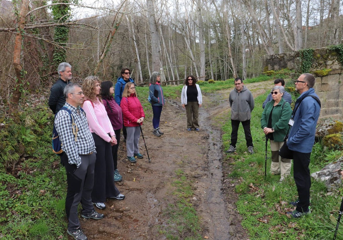 Montemayor del Río celebra su primer &quot;baño de bosque&quot;