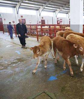 Imagen secundaria 2 - Freno al mercado por la mayor asistencia del año