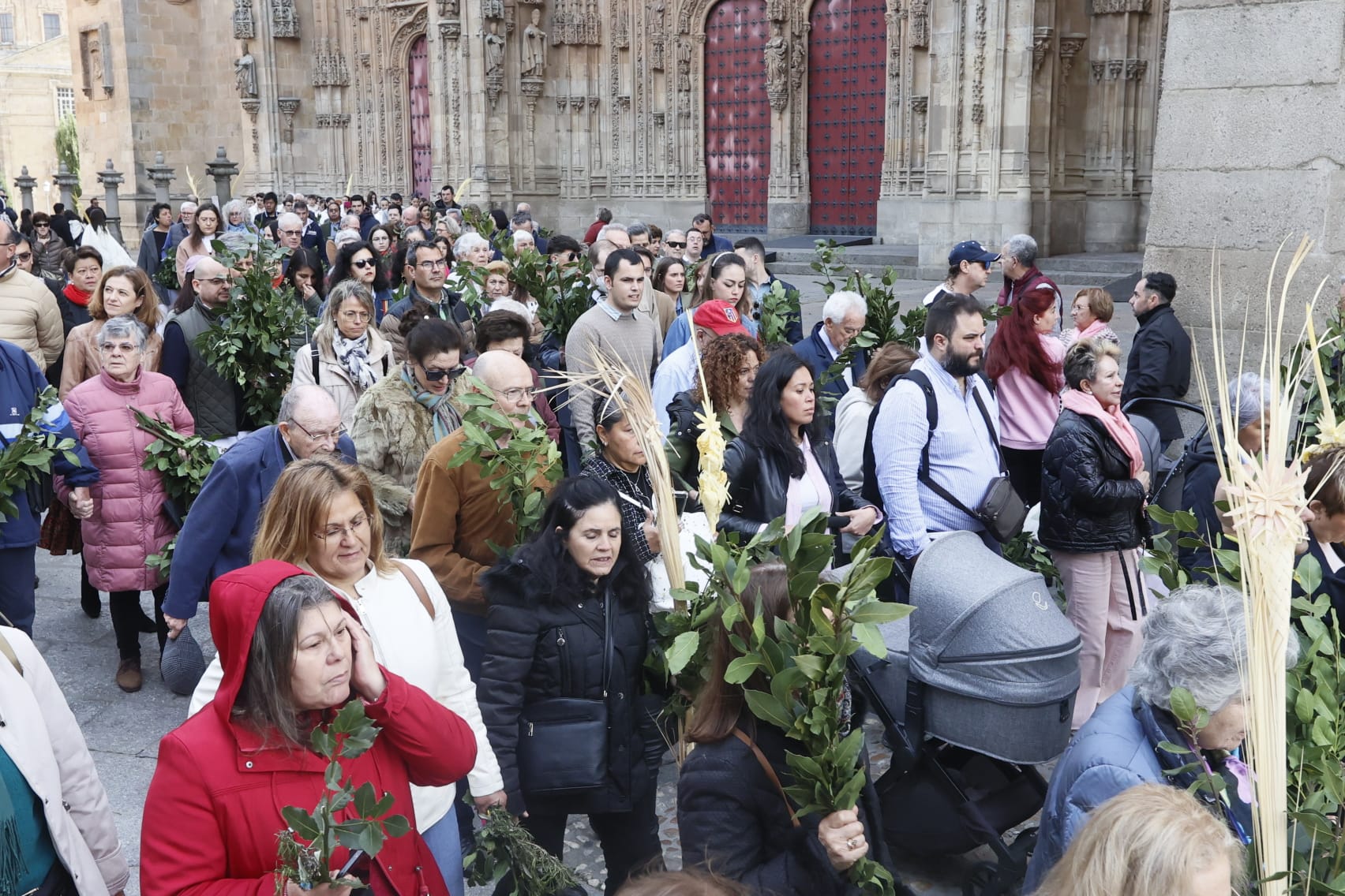 Las mejores imágenes de la procesión de La Borriquilla en Salamanca