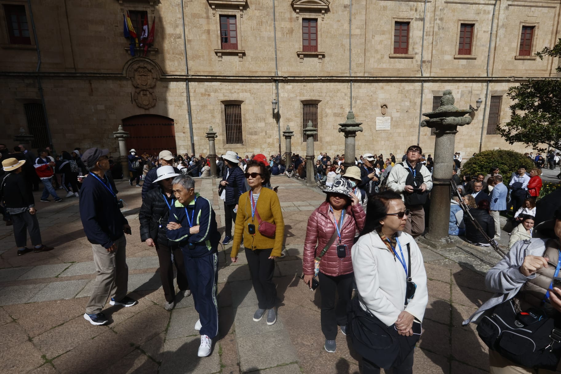 Las mejores imágenes de la procesión de La Borriquilla en Salamanca