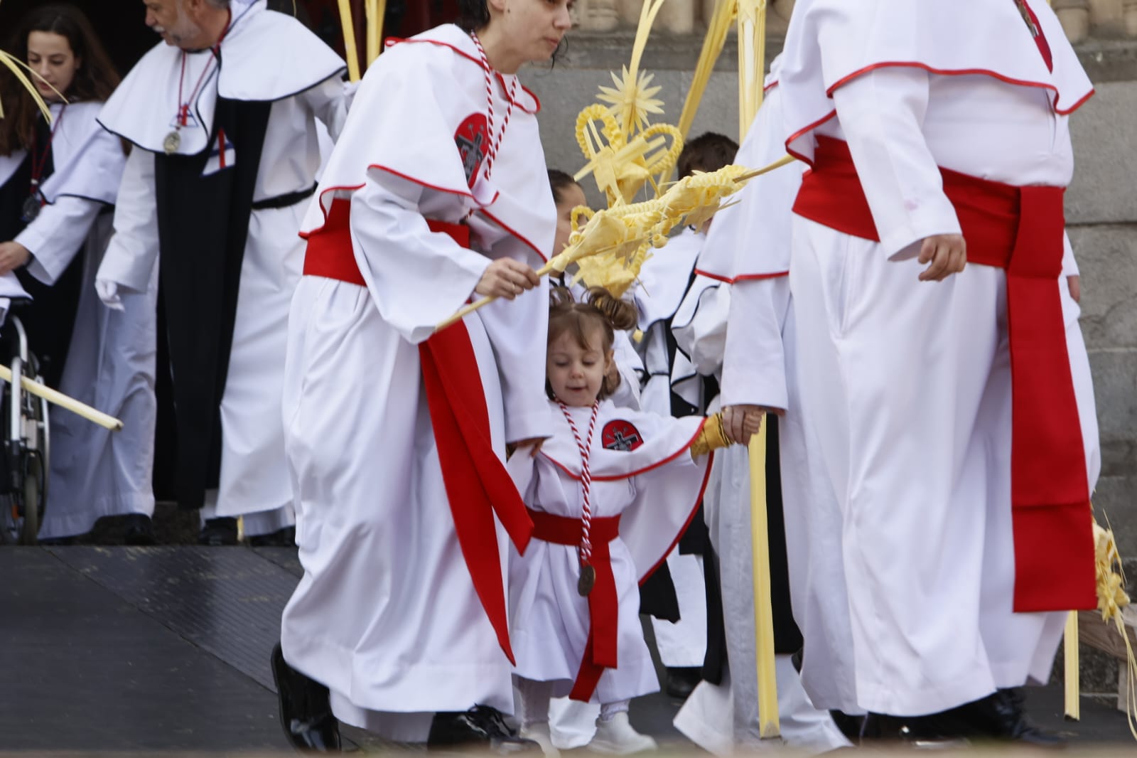 Las mejores imágenes de la procesión de La Borriquilla en Salamanca