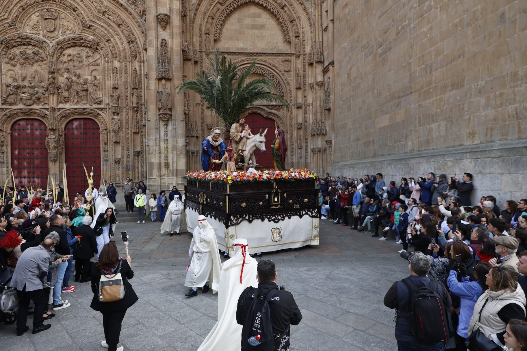 Las mejores imágenes de la procesión de La Borriquilla en Salamanca