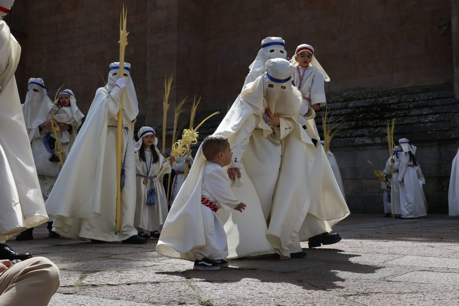 Las mejores imágenes de la procesión de La Borriquilla en Salamanca