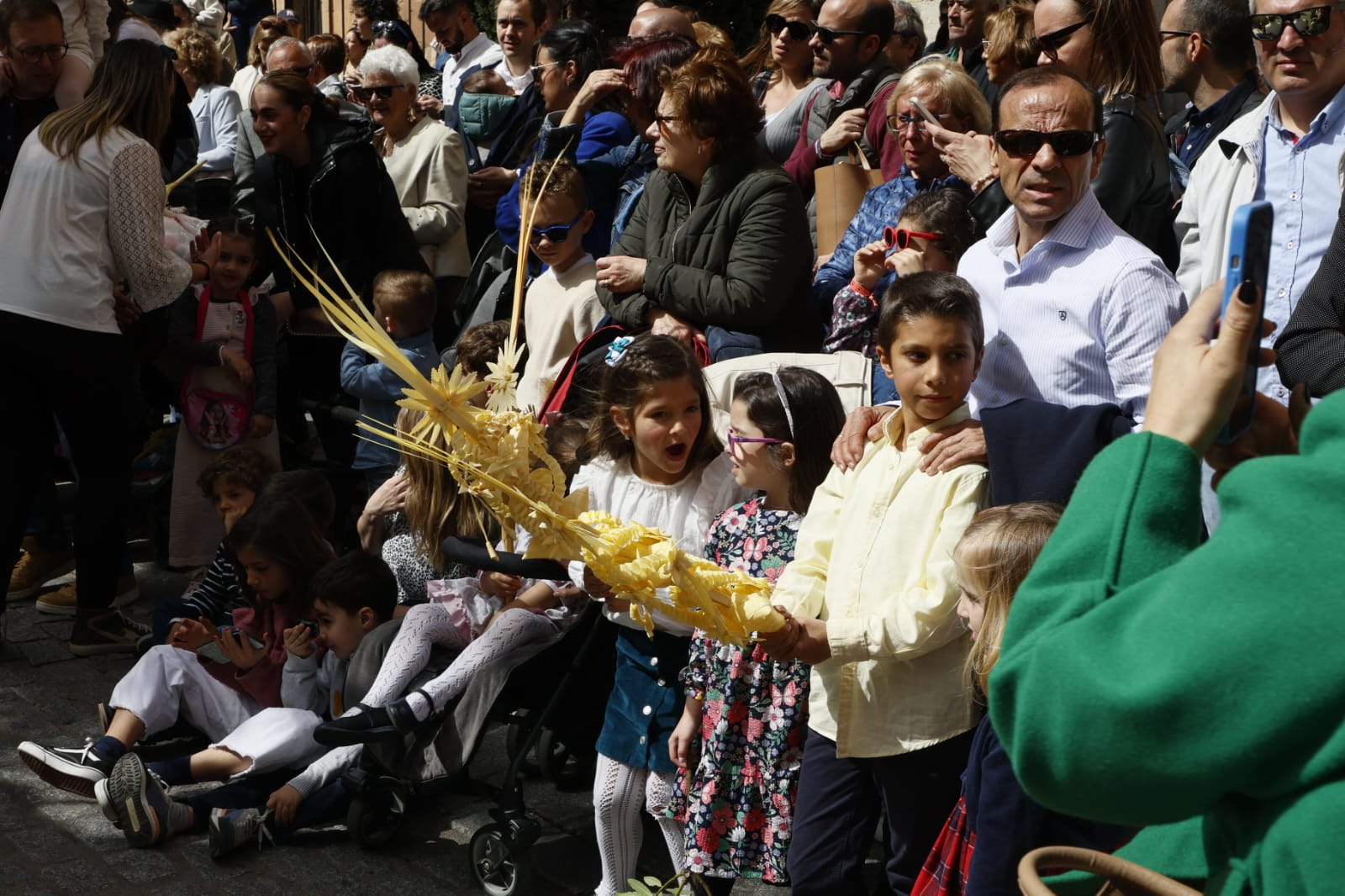 Las mejores imágenes de la procesión de La Borriquilla en Salamanca