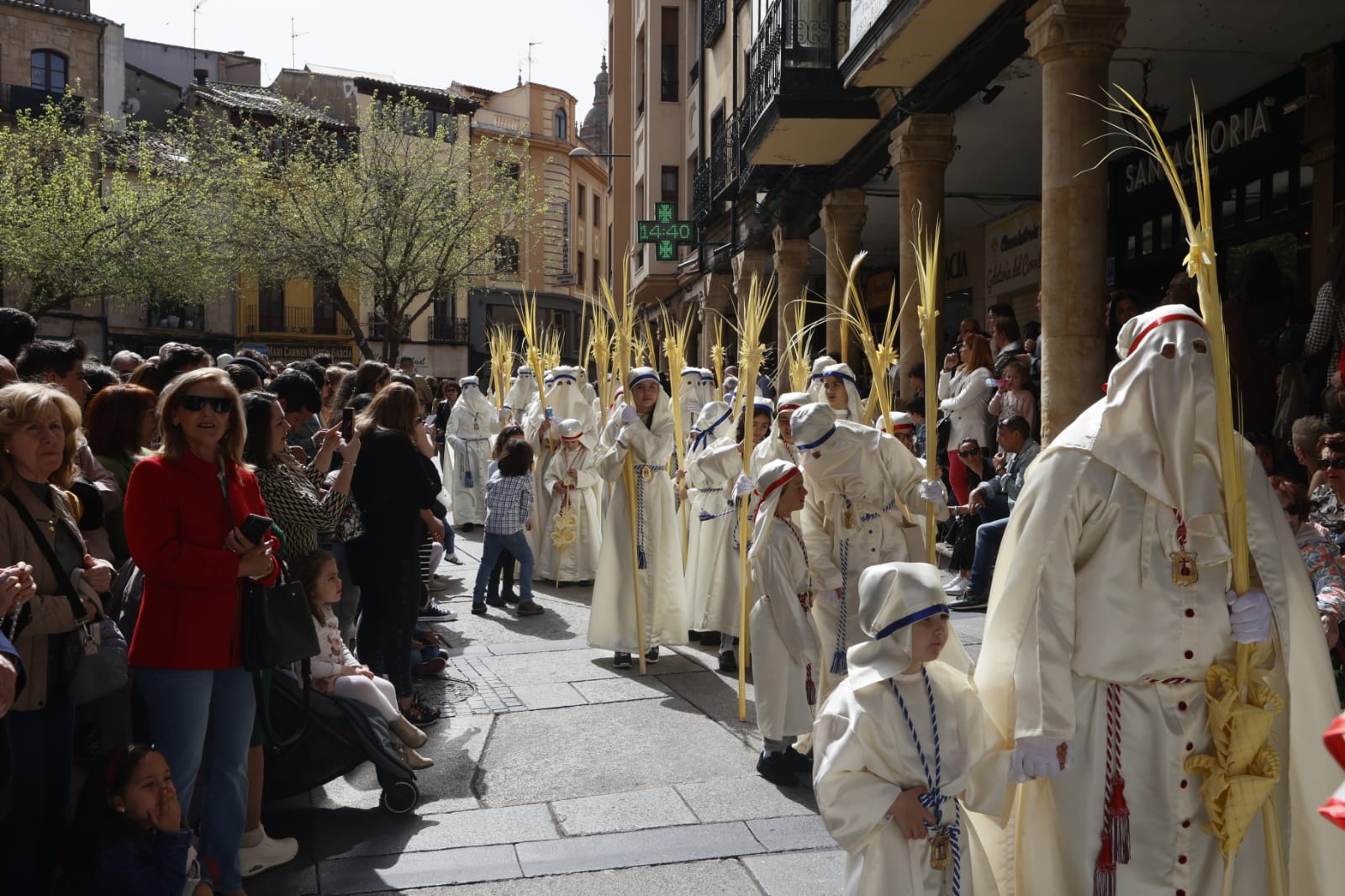 Las mejores imágenes de la procesión de La Borriquilla en Salamanca