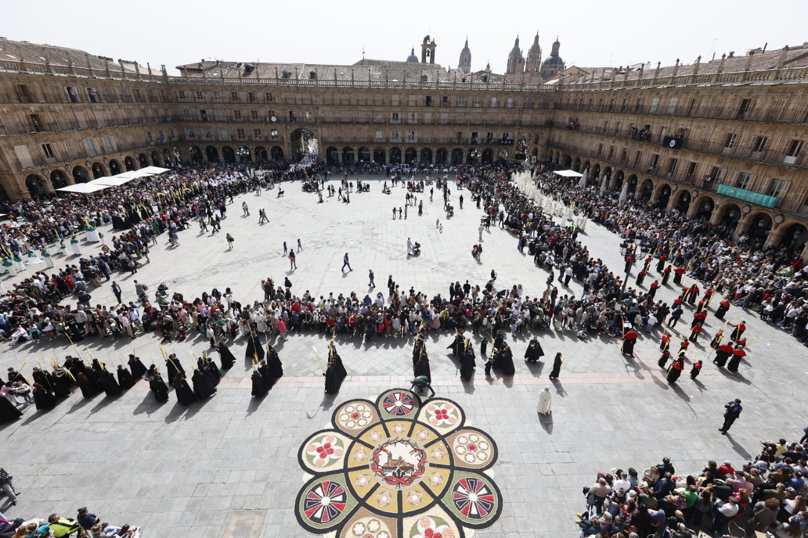 Las mejores imágenes de la procesión de La Borriquilla en Salamanca