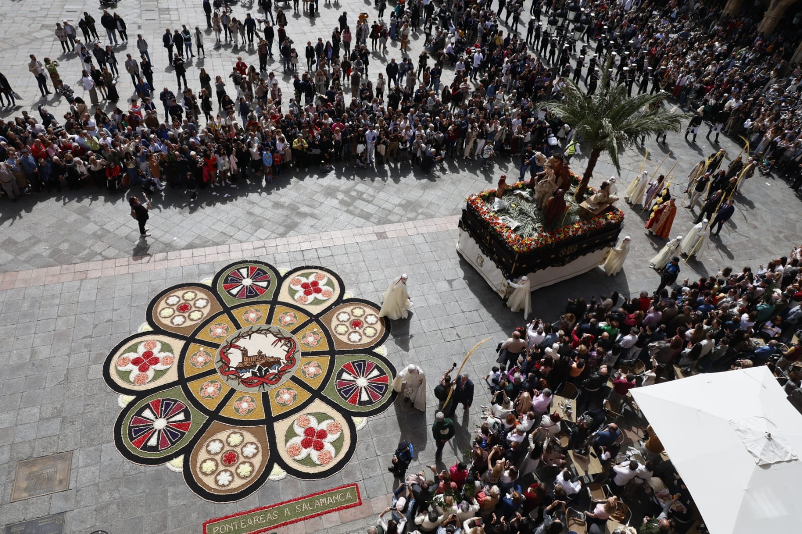 Las mejores imágenes de la procesión de La Borriquilla en Salamanca