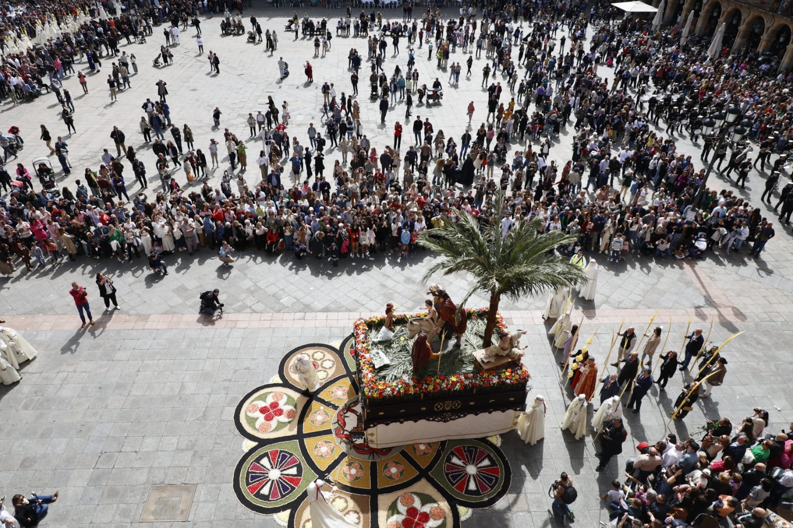 Las mejores imágenes de la procesión de La Borriquilla en Salamanca