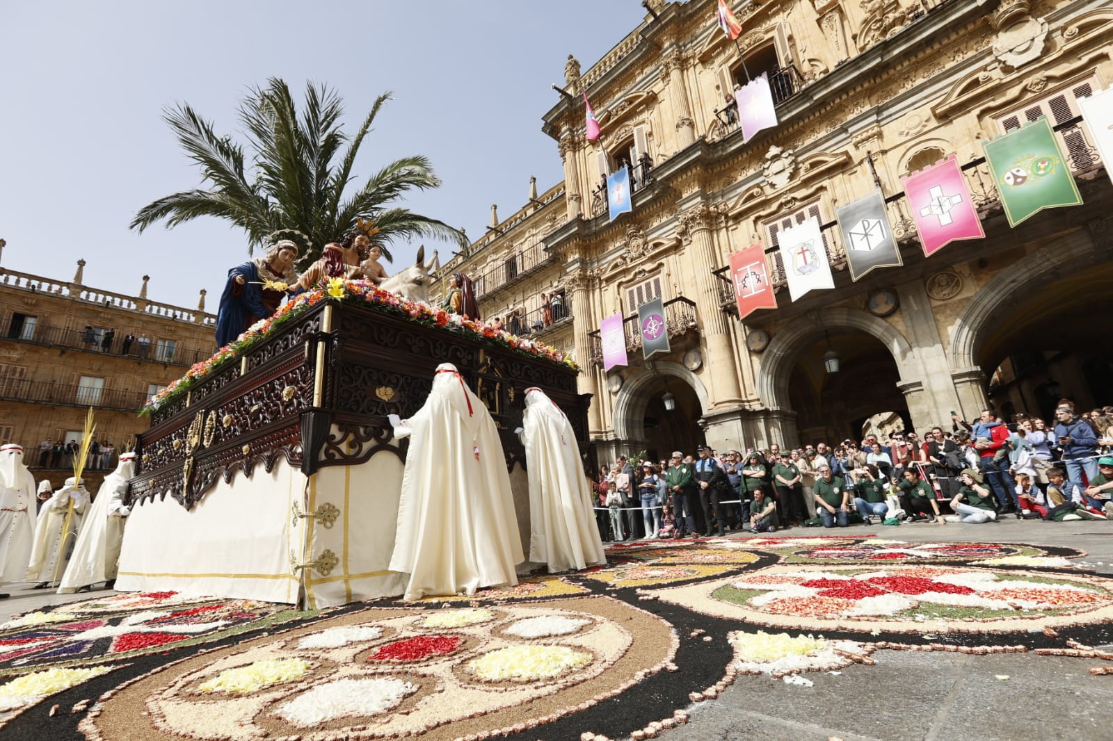 Las mejores imágenes de la procesión de La Borriquilla en Salamanca