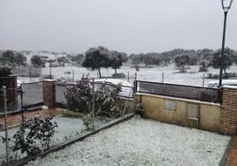 Una imagen de los copos de nieve en Carracal de Barregas.