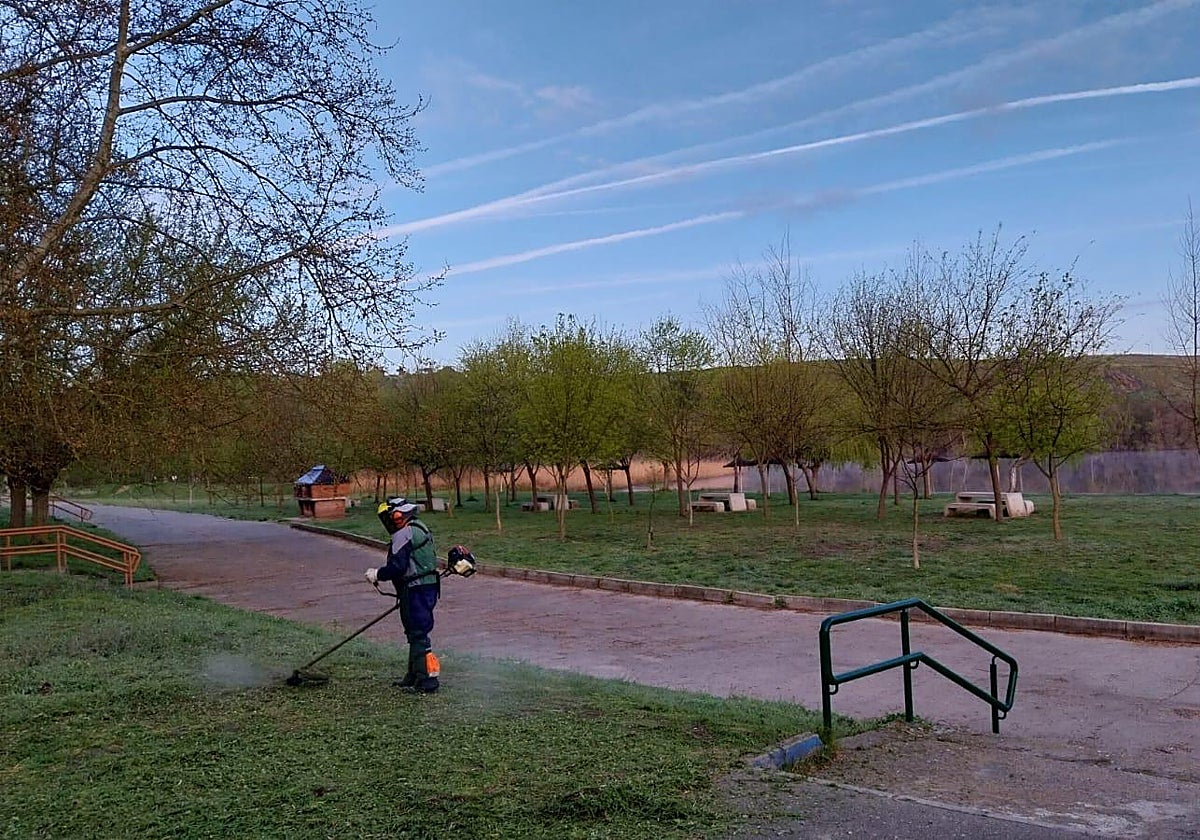 Un operario realizando labores de mantenimiento en los jardines de las playas de Alba.