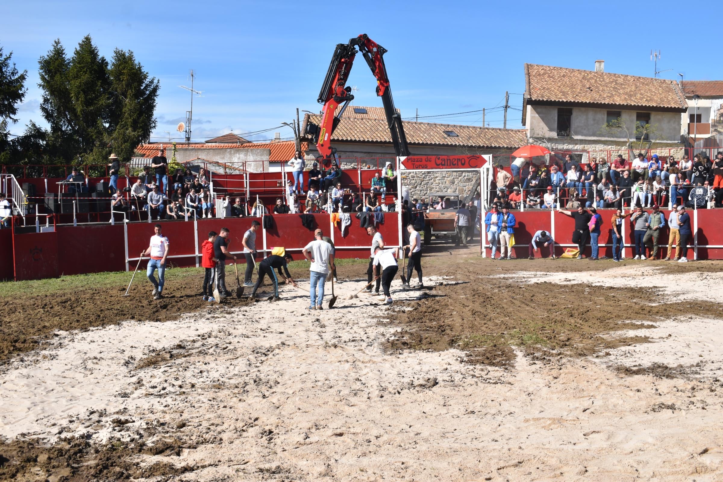 Las vaquillas triunfan y llenan Vega de Tirados