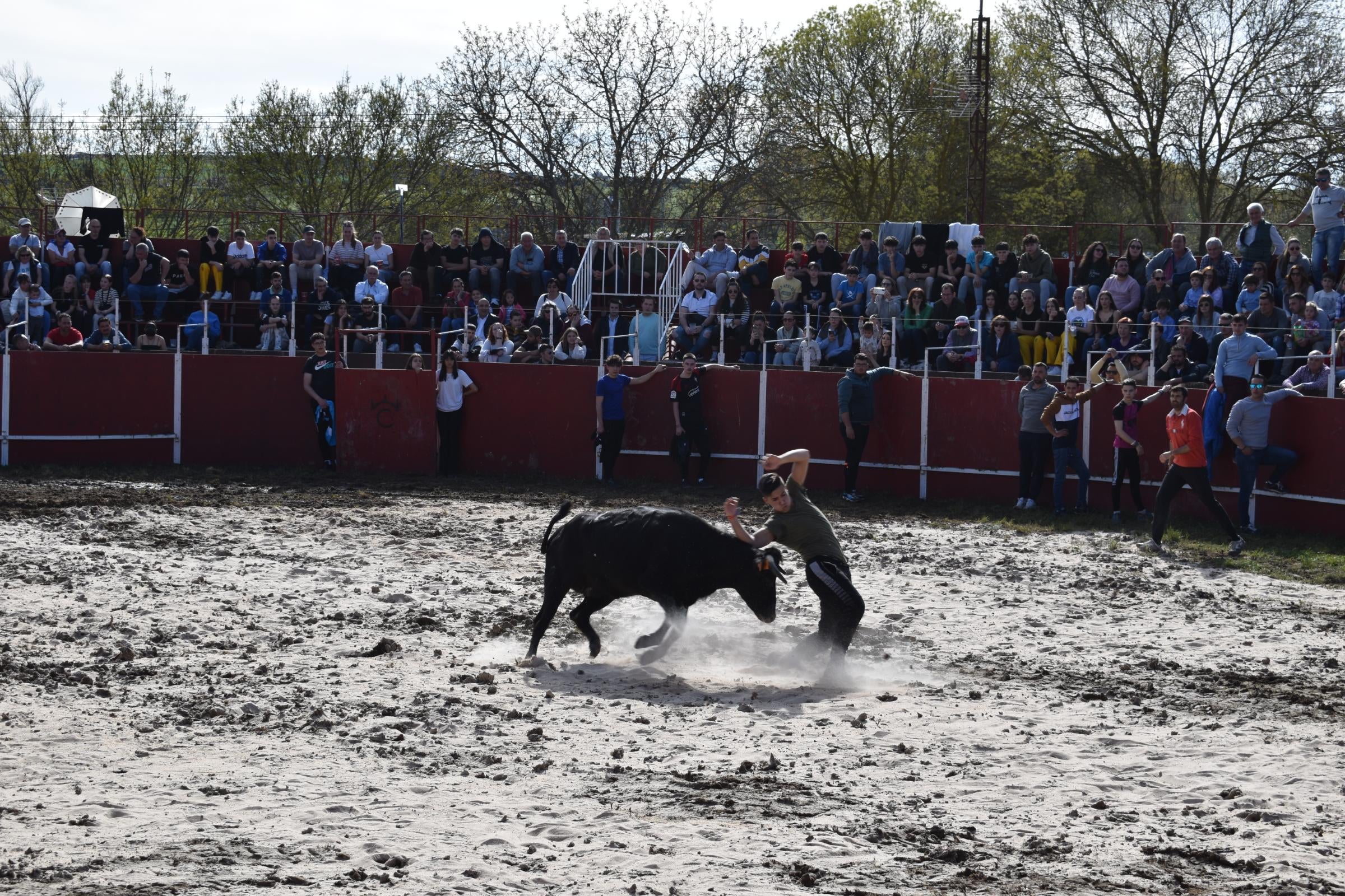 Las vaquillas triunfan y llenan Vega de Tirados