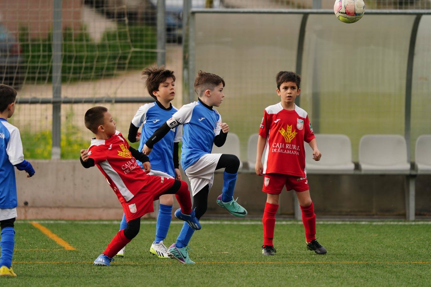 Las mejores imágenes de la jornada 21 del fútbol base en Salamanca