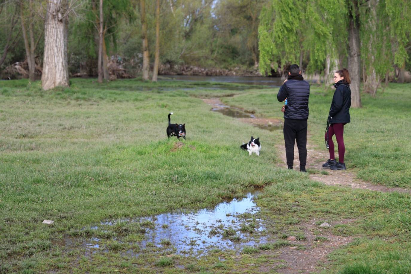 Los alrededores del río Tormes esta mañana