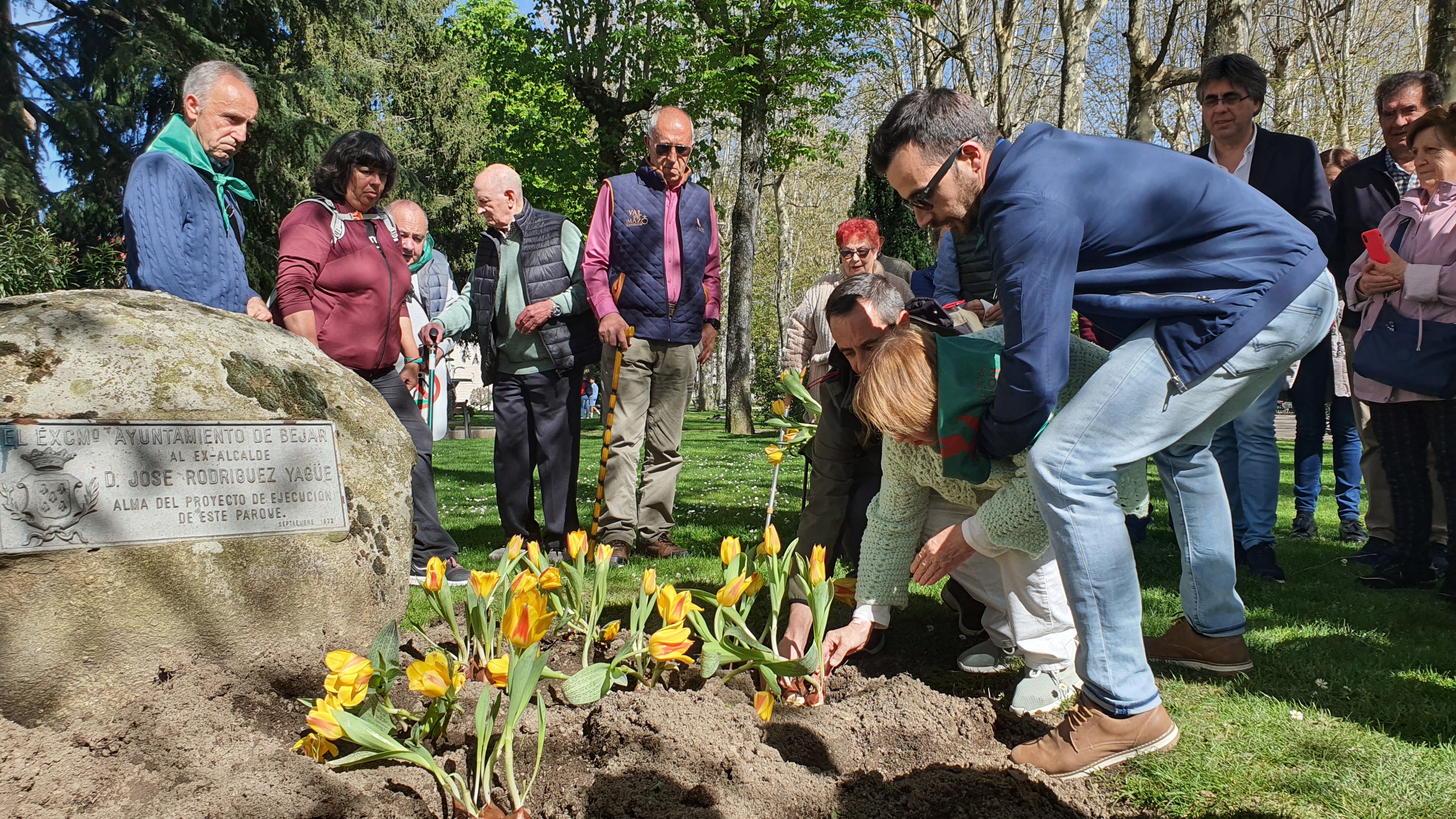 Tulipanes en apoyo de los enfermos de parkinson