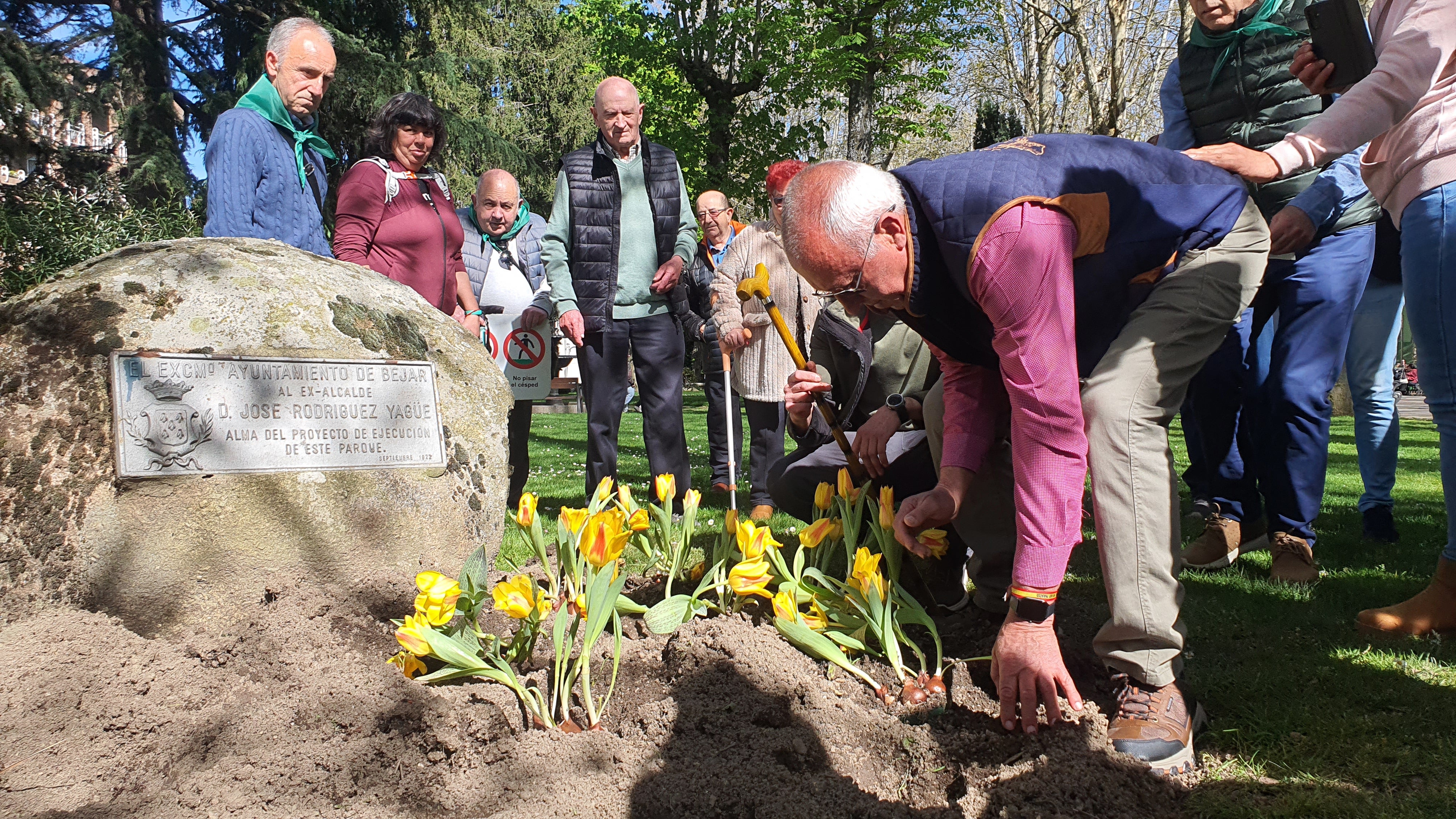 Tulipanes en apoyo de los enfermos de parkinson