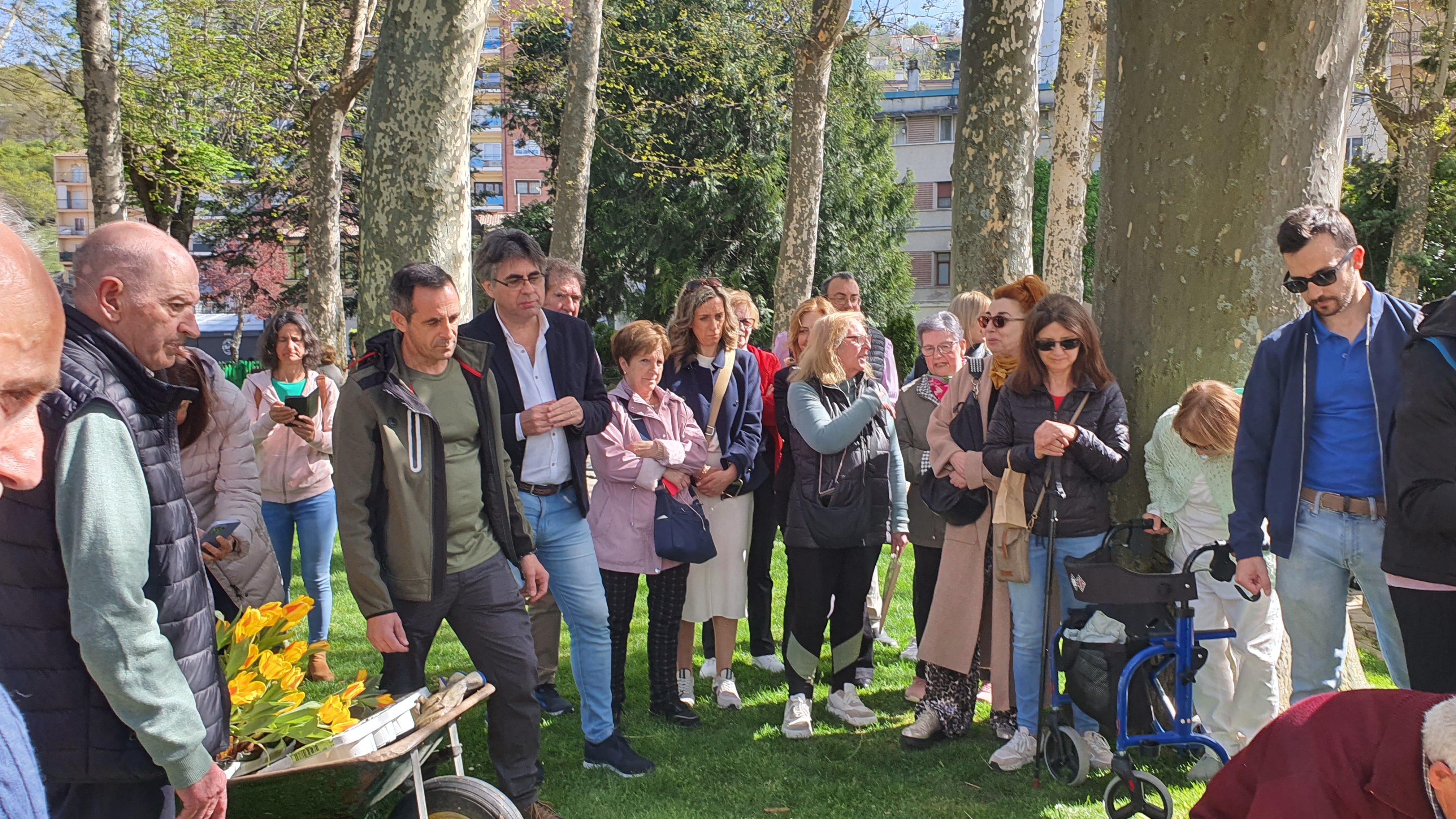 Tulipanes en apoyo de los enfermos de parkinson