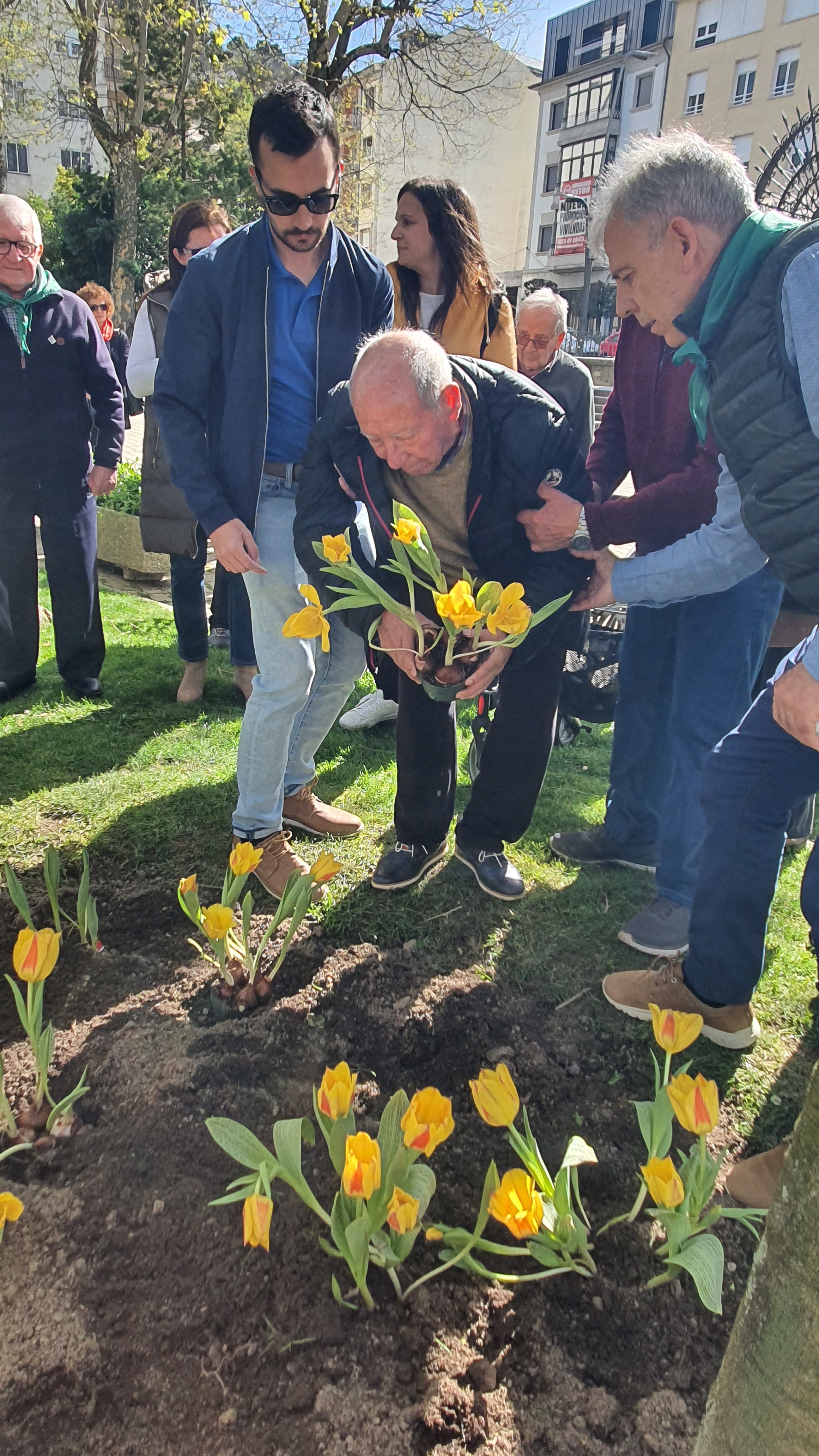 Tulipanes en apoyo de los enfermos de parkinson