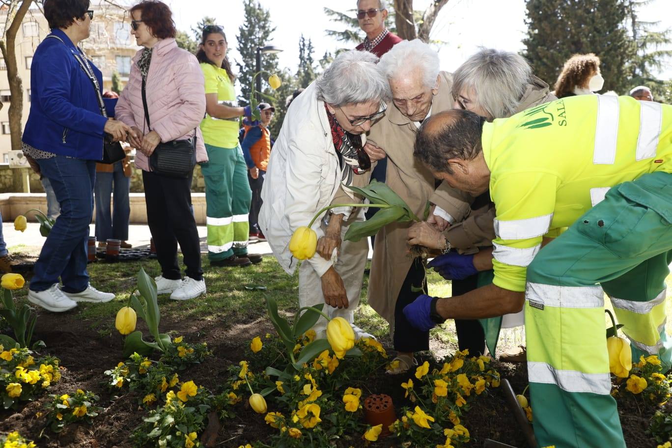 Tulipanes para sensibilizar y buscar avances contra el párkinson