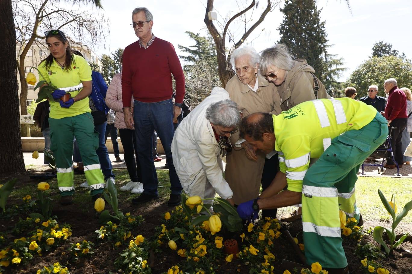 Tulipanes para sensibilizar y buscar avances contra el párkinson