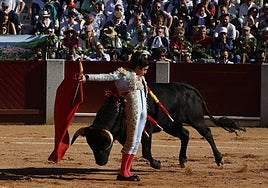 Novillada de Marco Pérez en Guijuelo